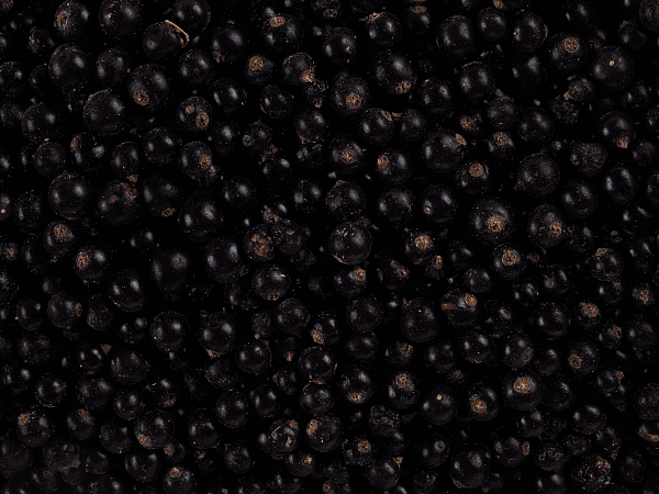 Черная смородина с/м 10кг, Беларусь